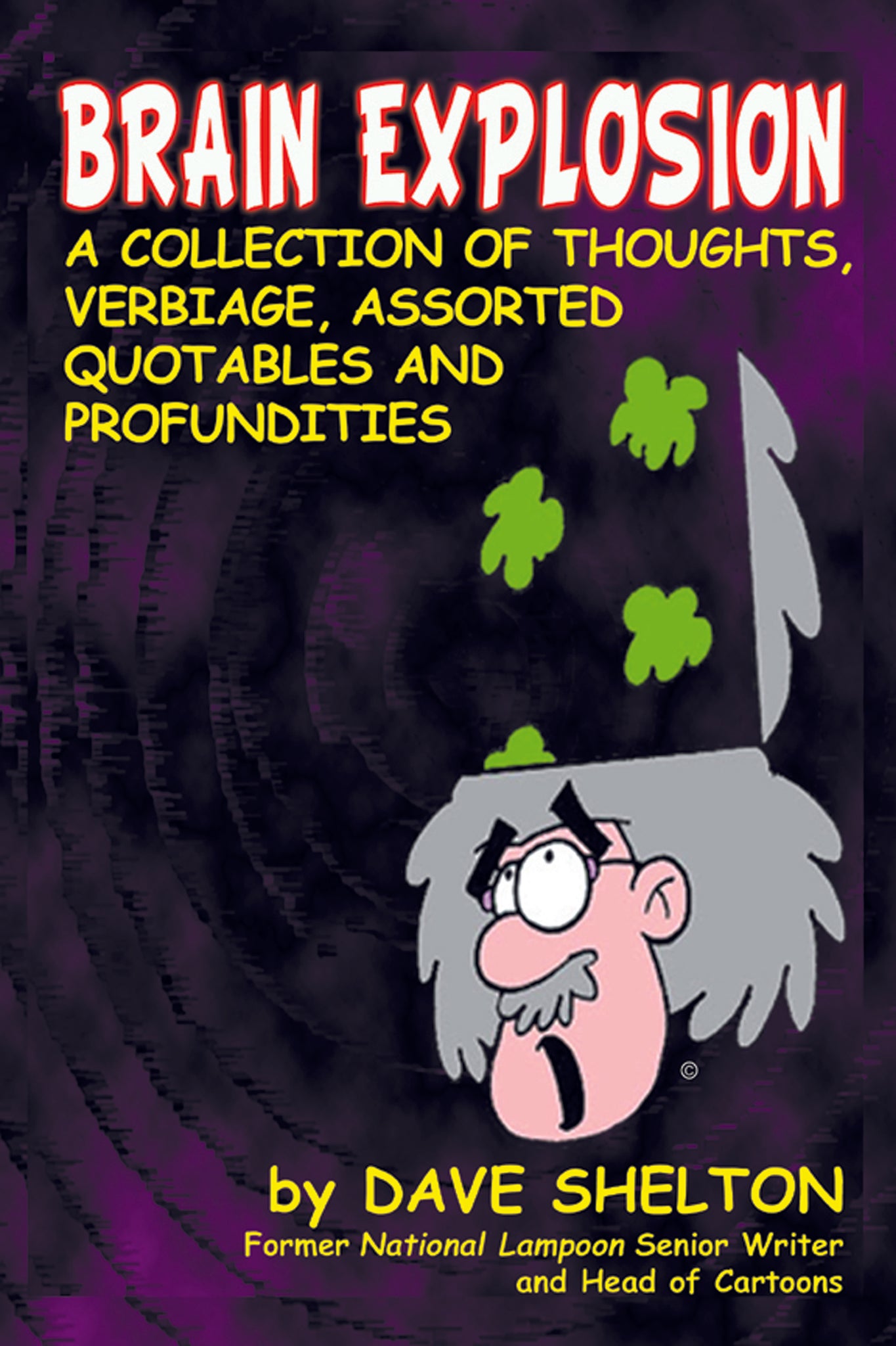 Brain Explosion: A Collection of Thoughts, Verbiage, Assorted Quotables and Profundities (paperback) - BearManor Manor